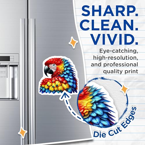 (2 Pack) Colorful Parrot Magnets - Tropical Bird Fridge ation - Vibrant Animal Art - 5" On Longest Side - for Cars, Fridges, Toolboxes - Made in USA - MAG4521