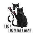 (2 Pack) Cat Attitude Stickers - I Do What I Want - 5" On Longest Side - Sticks to Smooth Flat Surfaces - Made in USA - BMCS8892 - BMCS8892