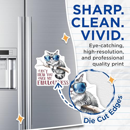 (2 Pack) Cat Wearing Sunglasses Magnets Magnets - Can't Hear You Over My Fabulousness - 5" On Longest Side - Made in USA - Sticks to Refrigerators & Metal Surfaces - MAG8566