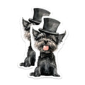 (2 Pack) Dapper Dog Magnets - Whimsical Top Hat Dog Art - Funny Pet Lover Decor - Schnauzer Terrier Refrigerator Accent - 5 Inches On Longest Side - Thick Durable Magnet - Made in USA - MAG28514