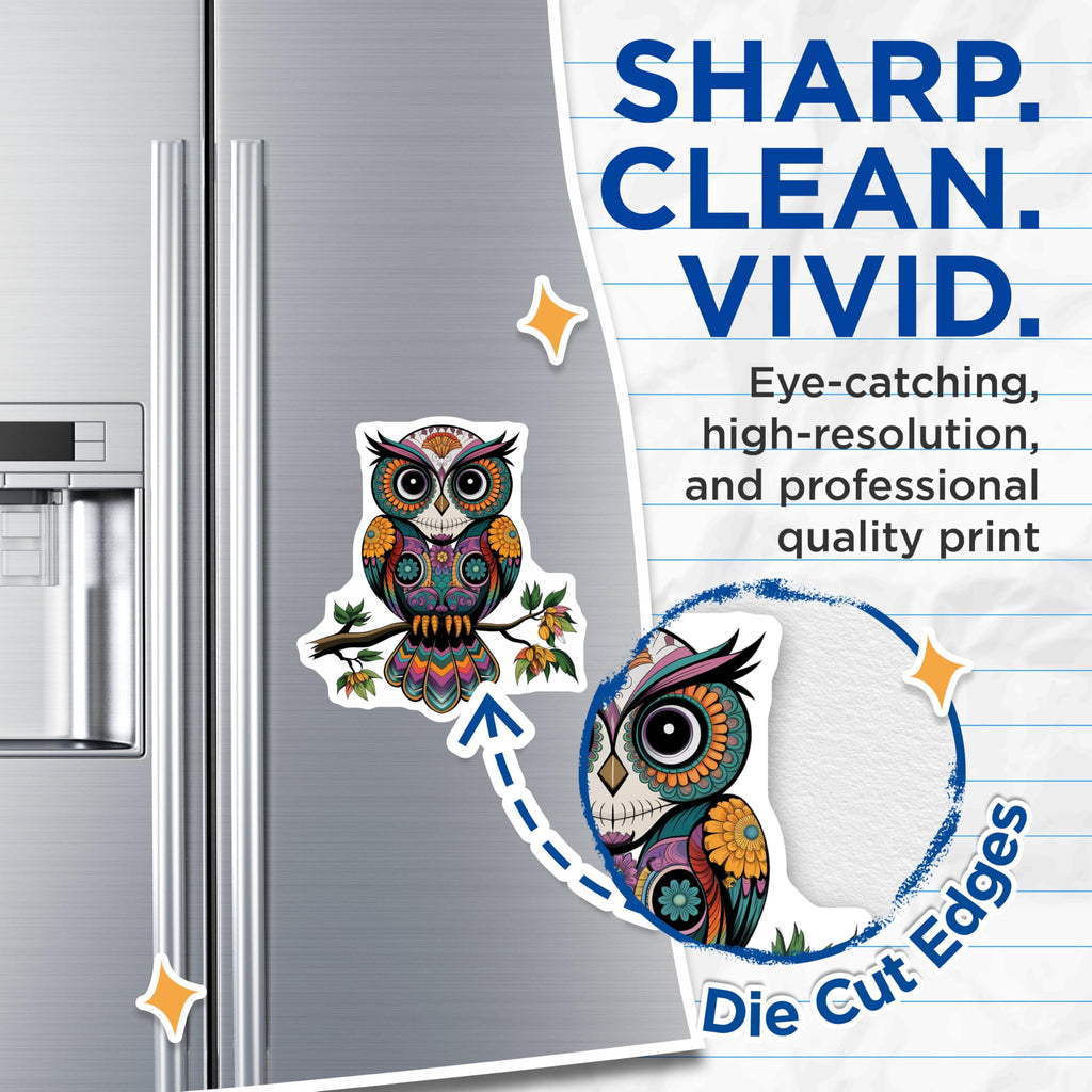(2 Pack) Colorful Owl Decor Magnet - 5" On Longest Side - Sticks to Smooth Flat Surfaces - Made in USA - MAG9465