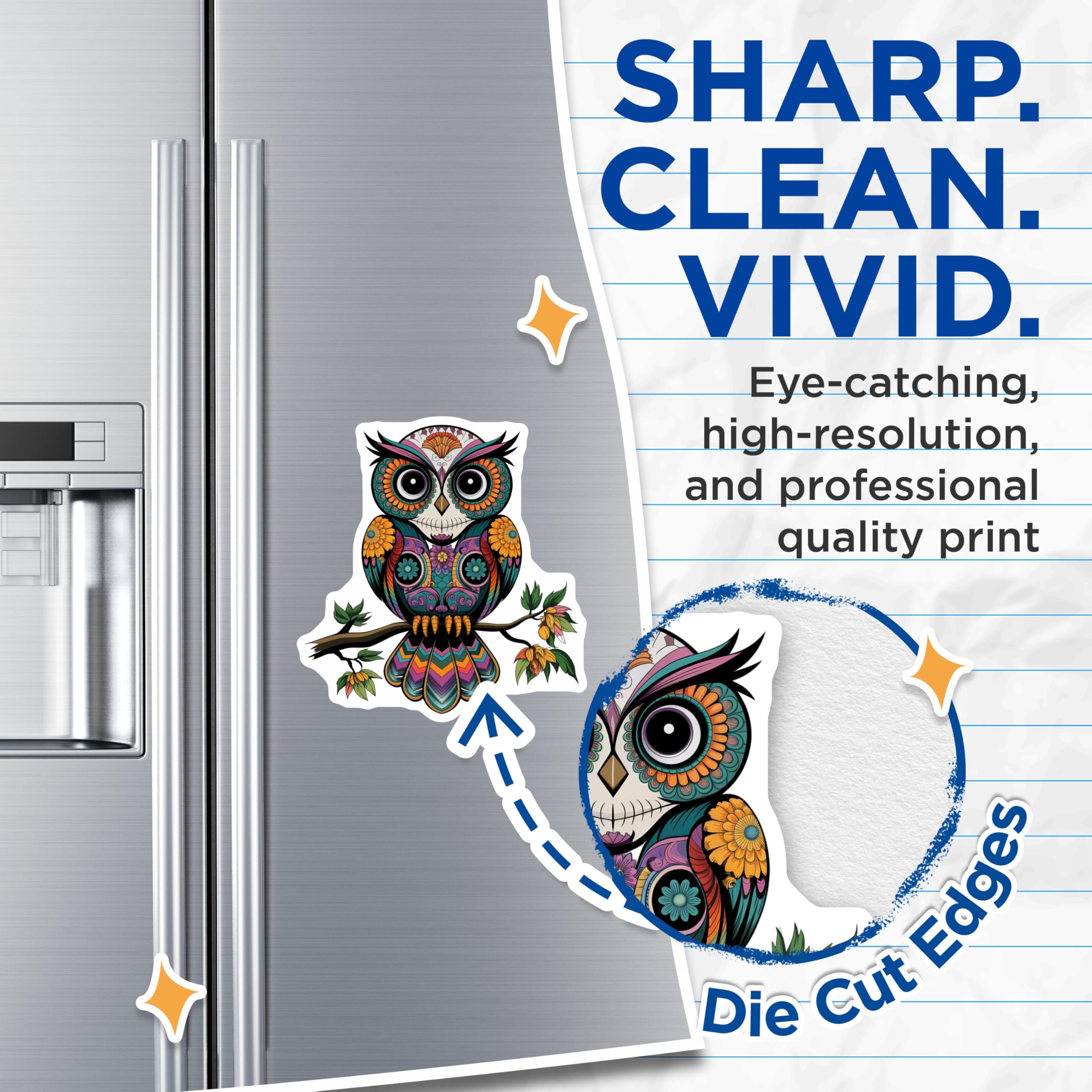 (2 Pack) Colorful Owl Decor Magnet - 5" On Longest Side - Sticks to Smooth Flat Surfaces - Made in USA - MAG9465