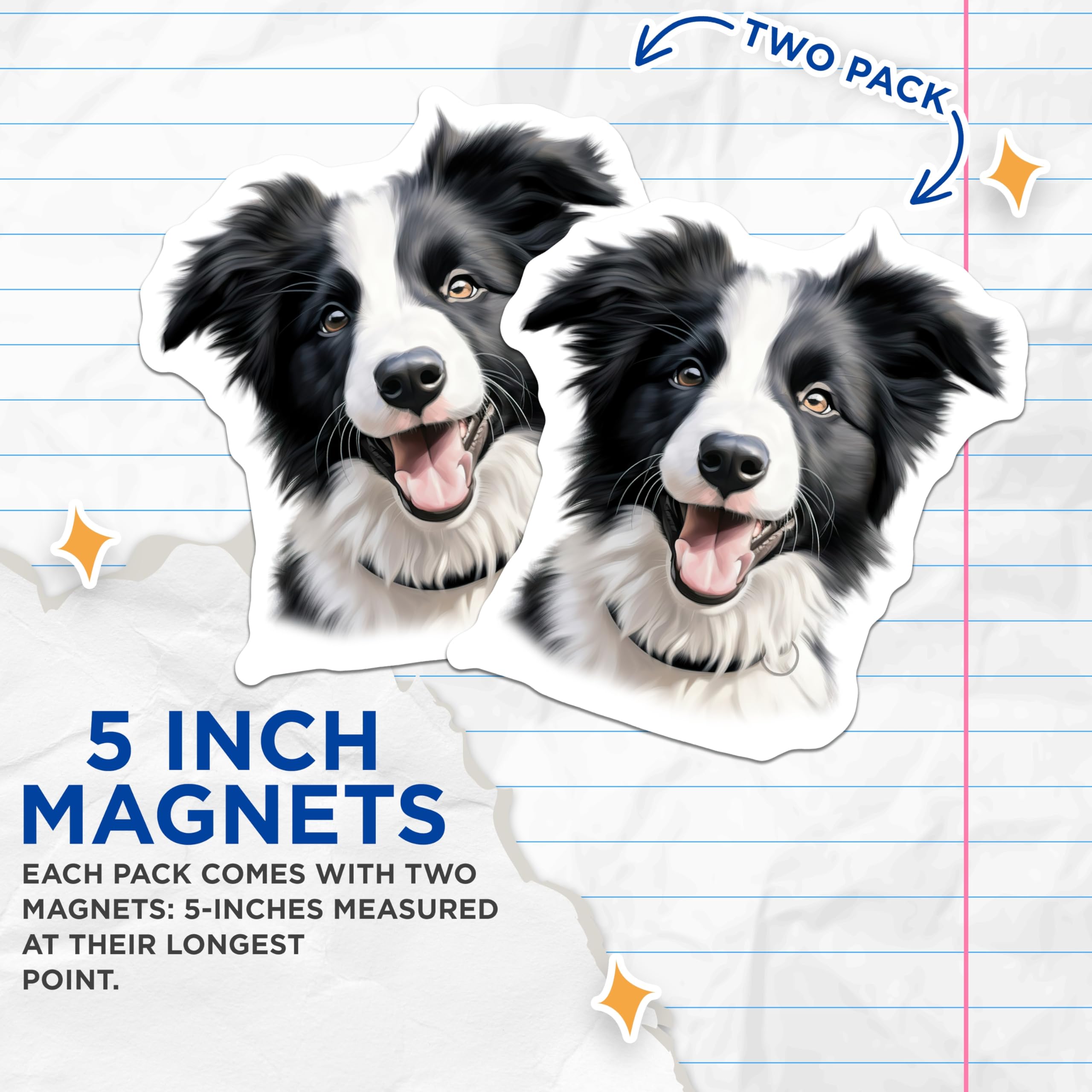 (2 Pack) Border Collie Magnets - Happy Dog Lover Decor - Pet Parent Refrigerator Locker Home Accent Collectibles - 5 Inches On Longest Side - Thick Durable Magnet - Made in USA - MAG25607