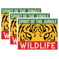 (3 Pack) Tiger Eye Decals - Jungle Spirit Stickers - Wildlife Decal Pack- 3 Inches On Longest Side - Easy Peel & Apply - Made in USA - 3MCS5005