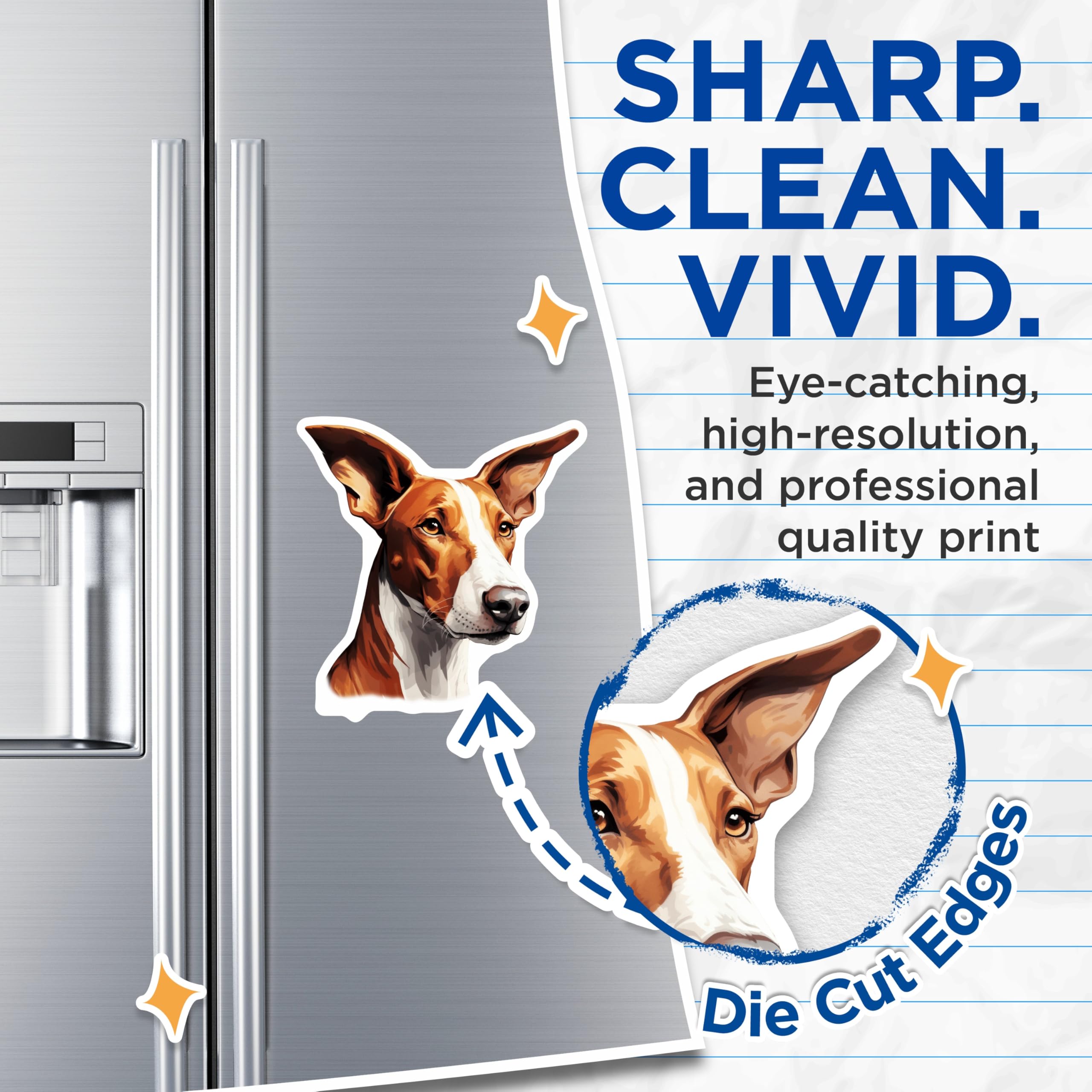 (2 Pack) Basenji Dog Magnets - African Hound Decor - Unique Pet Lover Magnet - 5 Inches On Longest Side - Thick Durable Magnet - Made in USA - MAG24663