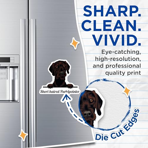 (2 Pack) Short Haired Pudelpointer Magnets - Dog Lover - Cute Pet Fridge Magnets - 5" On Longest Side - for Cars, Fridges, Toolboxes - Made in USA - MAG4228