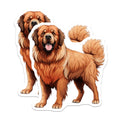 (2 Pack) Tibetan Mastiff Dog Magnets - Large Breed Pet Owner - Animal Lover Refrigerator Decor - Fluffy Canine Art - 5 Inches On Longest Side - Thick Durable Magnet - Made in USA - MAG27635