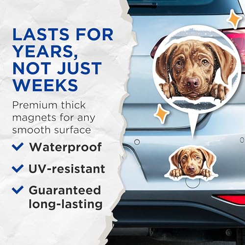 (2 Pack) Puppy Art Magnet - Refrigerator Decor - Animal Lover - Home Office - Kids Room - 5" On Longest Side - Sticks to Smooth Flat Surfaces - Made in USA - MAG10211