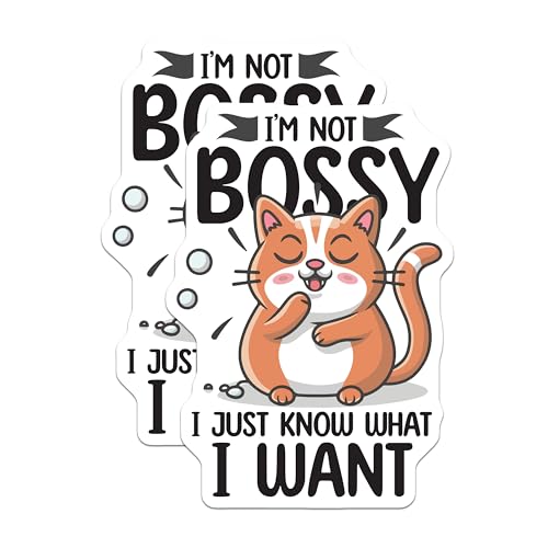 (2 Pack) Funny Cat Stickers - Cute Bossy Cat - I Know What I Want - 5" On Longest Side - Sticks to Smooth Flat Surfaces - Made in USA - BMCS5958