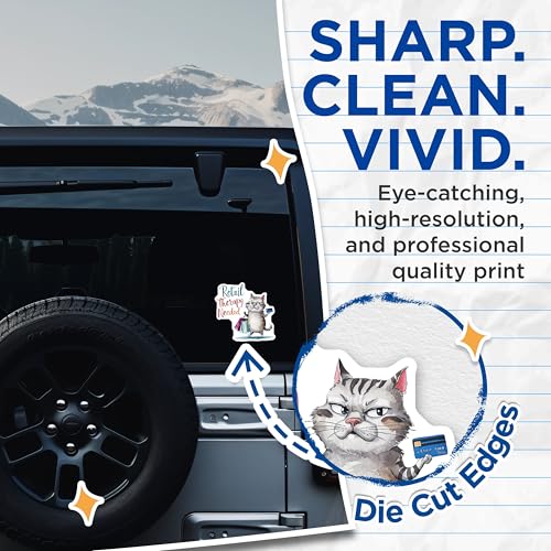 (2 Pack) Funny Cat Stickers - 5" On Longest Side - Sticks to Smooth Flat Surfaces - Made in USA - BMCS8557 - BMCS8557