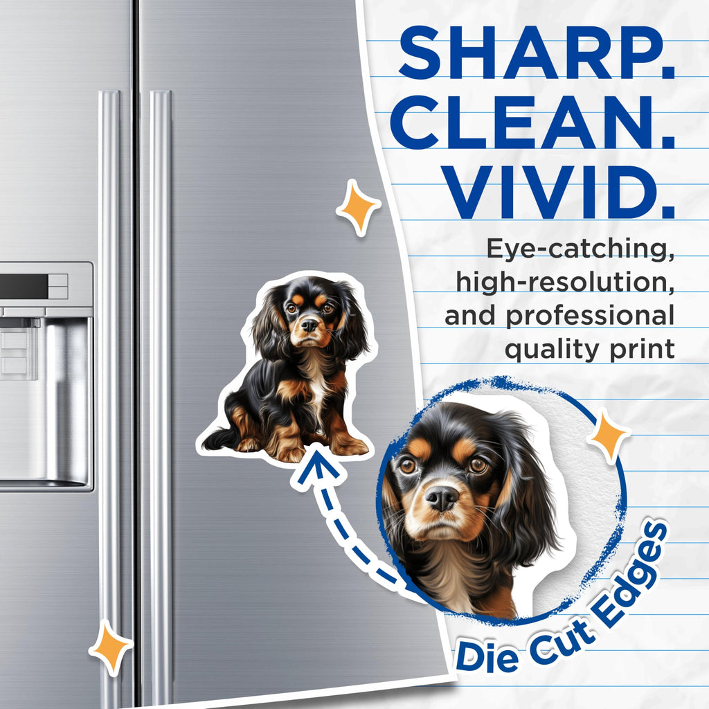 (2 Pack) Cavalier King Charles Spaniel Magnets - Adorable Puppy Dog Decor - Pet Lover Animal Art - Canine Breed Collectibles - 5 Inches On Longest Side - Thick Durable Magnet - Made in USA - MAG24560
