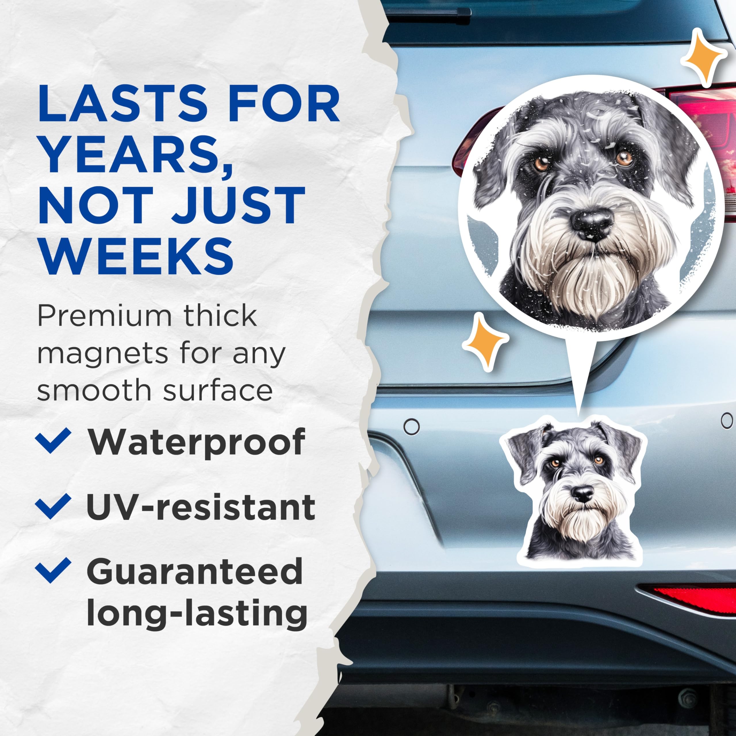 (2 Pack) Miniature Schnauzer Magnets - Dog Lover Portrait - Pet Owner Refrigerator Decor - 5 Inches On Longest Side - Thick Durable Magnet - Made in USA - MAG25440