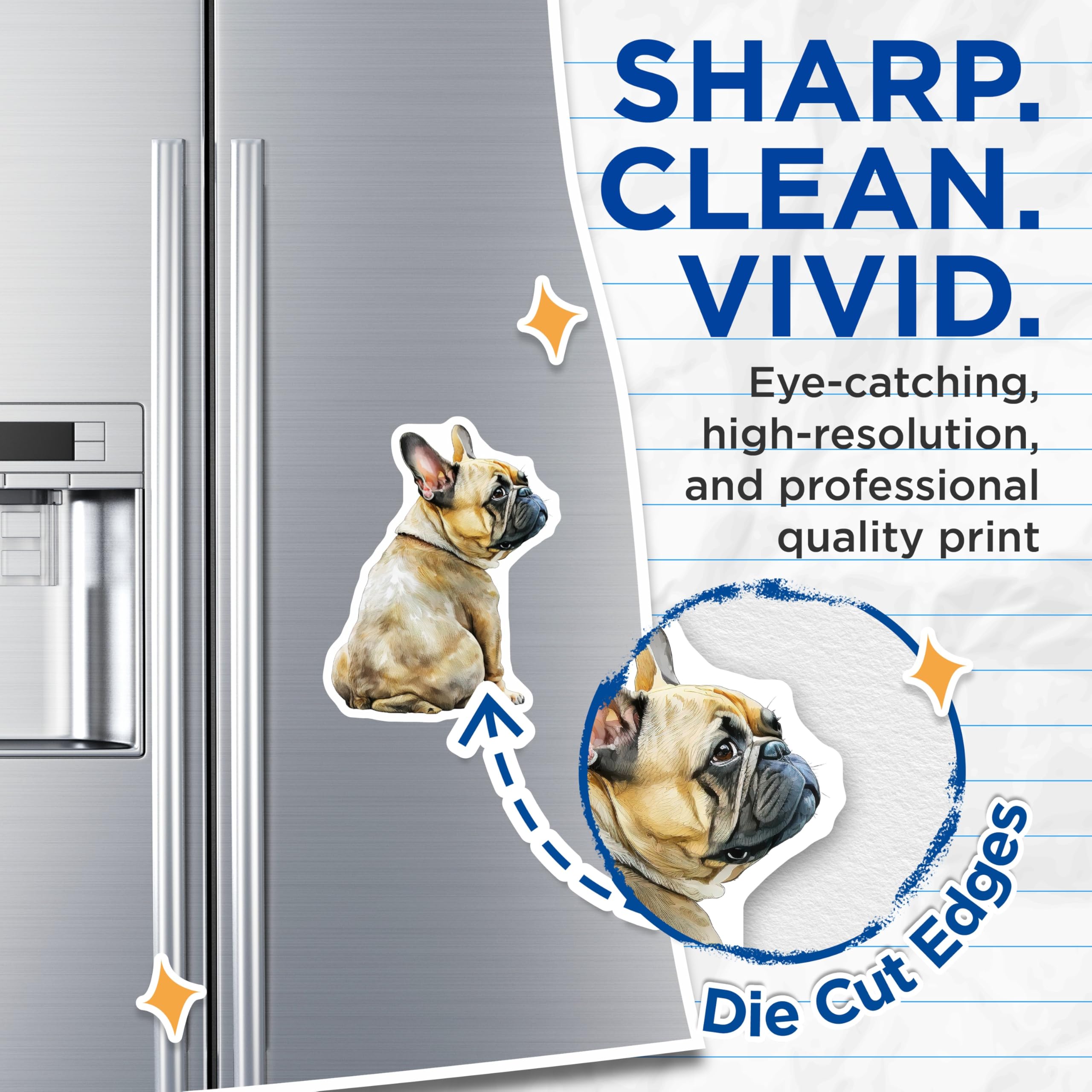 (2 Pack) French Bulldog Magnets - Dog Lover Decor - Cute Pet Magnets - 5" On Longest Side - Premium Magnet - for Cars, Refrigerators, Toolboxes, Lockers - Made in USA - MAG14126