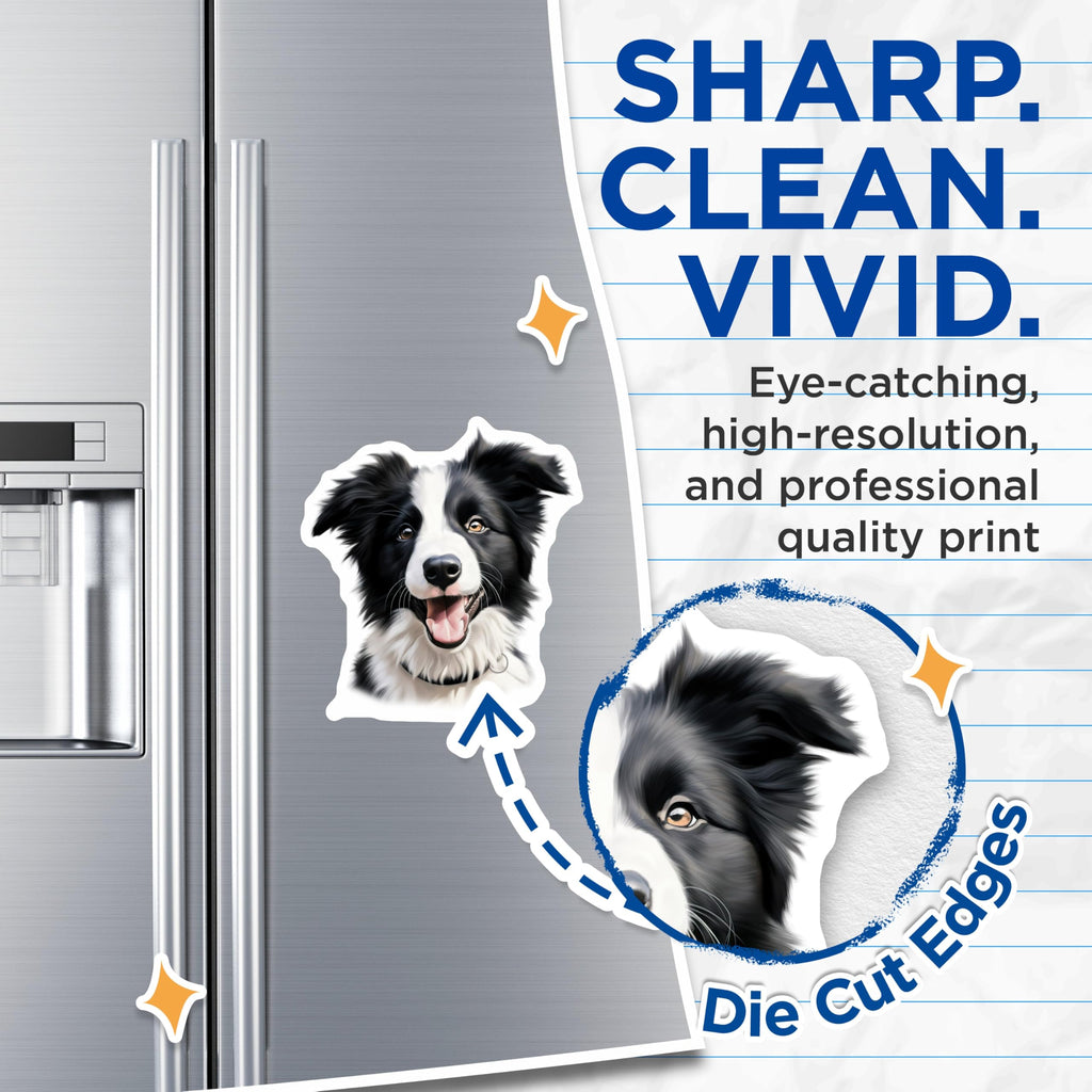 (2 Pack) Border Collie Magnets - Happy Dog Lover Decor - Pet Parent Refrigerator Locker Home Accent Collectibles - 5 Inches On Longest Side - Thick Durable Magnet - Made in USA - MAG25607