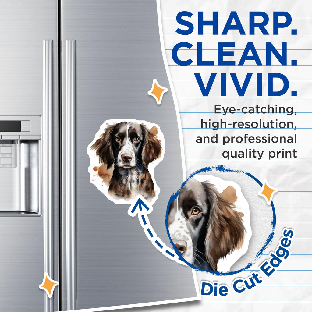 (2 Pack) Springer Spaniel Dog Magnets - Watercolor Pet Art - Canine Lover Decor - 5 Inches On Longest Side - Thick Durable Magnet - Made in USA - MAG27512