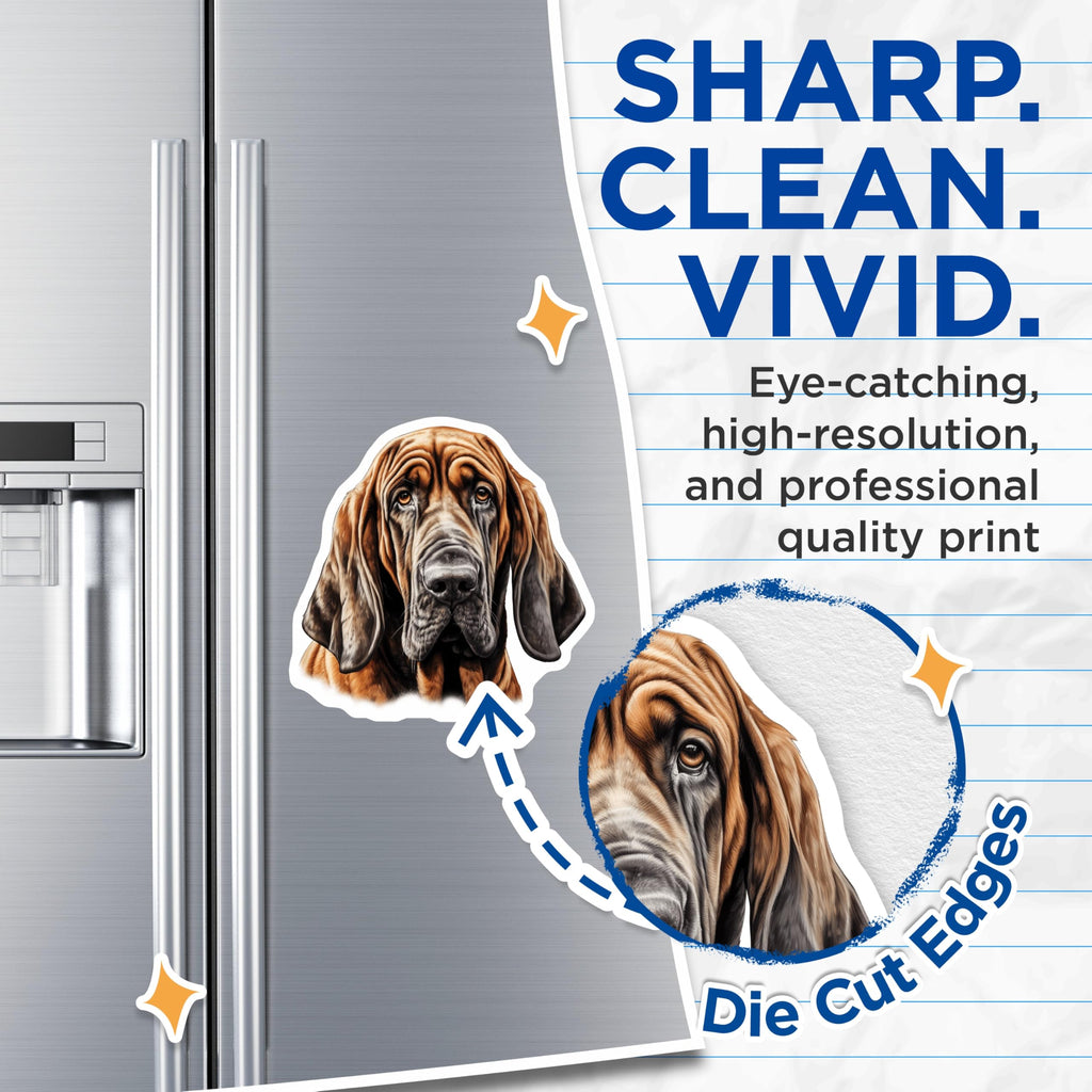 (2 Pack) Bloodhound Dog Magnets - Adorable Hound Dog Art - Wrinkled Face Canine Decor - Pet Lover Refrigerator Display - 5 Inches On Longest Side - Thick Durable Magnet - Made in USA - MAG23731