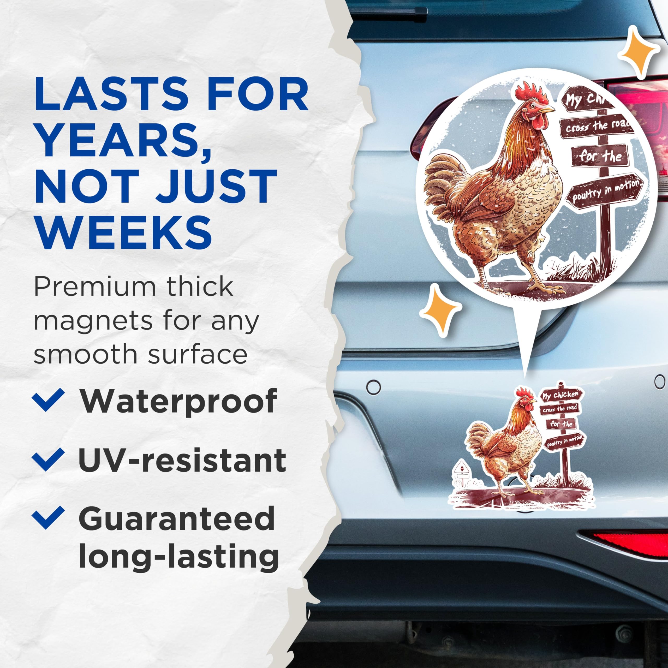 (2 Pack) Funny Chicken Magnets - Humorous Animal Magnets - Farmhouse Kitchen Decor Magnets- 5" On Longest Side - for Fridges, Toolboxes, Cars - Made in USA - MAG2604