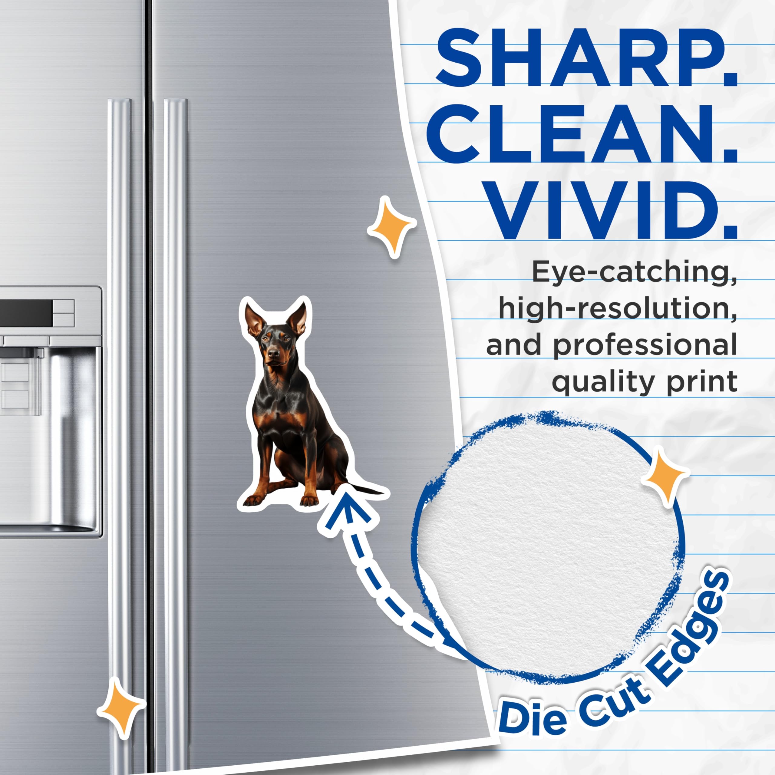 (2 Pack) Doberman Pinscher Dog Magnets - Pet Lover Accessory - Dog Breed Owner Decor - 5 Inches On Longest Side - Thick Durable Magnet - Made in USA - MAG28165