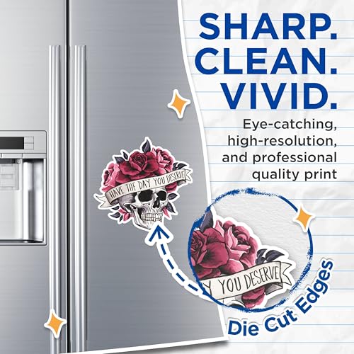 (2 Packs) Have The Day You Deserve Magnets - Skull with Roses Floral Magnets - 5 Inches On Longest Side - Premium Magnet - for Fridges, Toolboxes, Cars - Made in USA - MAG2477