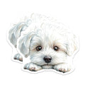 (2 Pack) Maltese Dog Magnets - Cute Puppy Art - Refrigerator Magnets - 5" On Longest Side - Premium Magnet - for Cars, Refrigerators, Toolboxes, Lockers - Made in USA - MAG14768