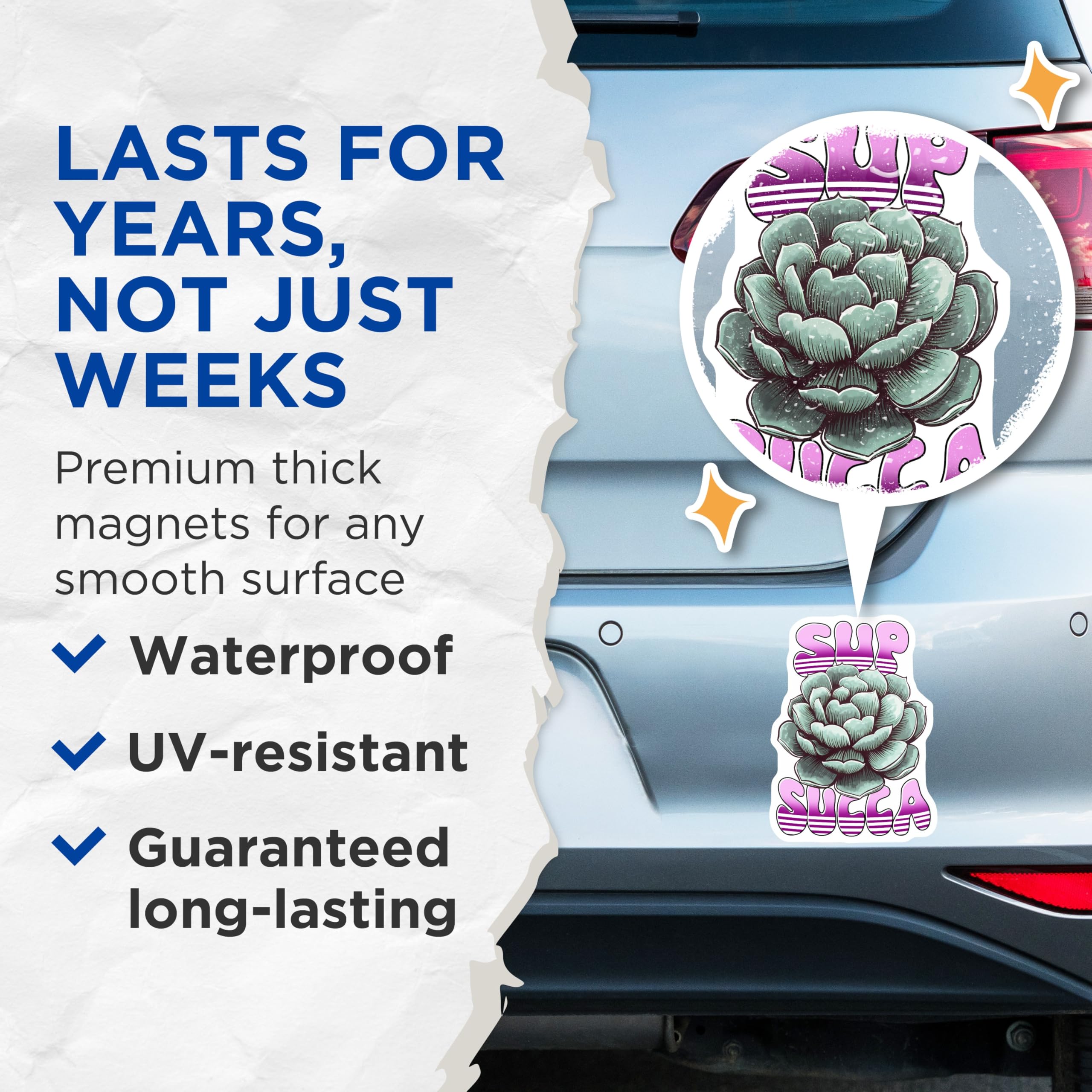 (2 Pack) Succulent Plant Magnets - Funny Quote Magnets - Sup Succa Refrigerator Decor - 5" On Longest Side - Premium Magnet - for Cars, Refrigerators, Toolboxes, Lockers - Made in USA - MAG15337