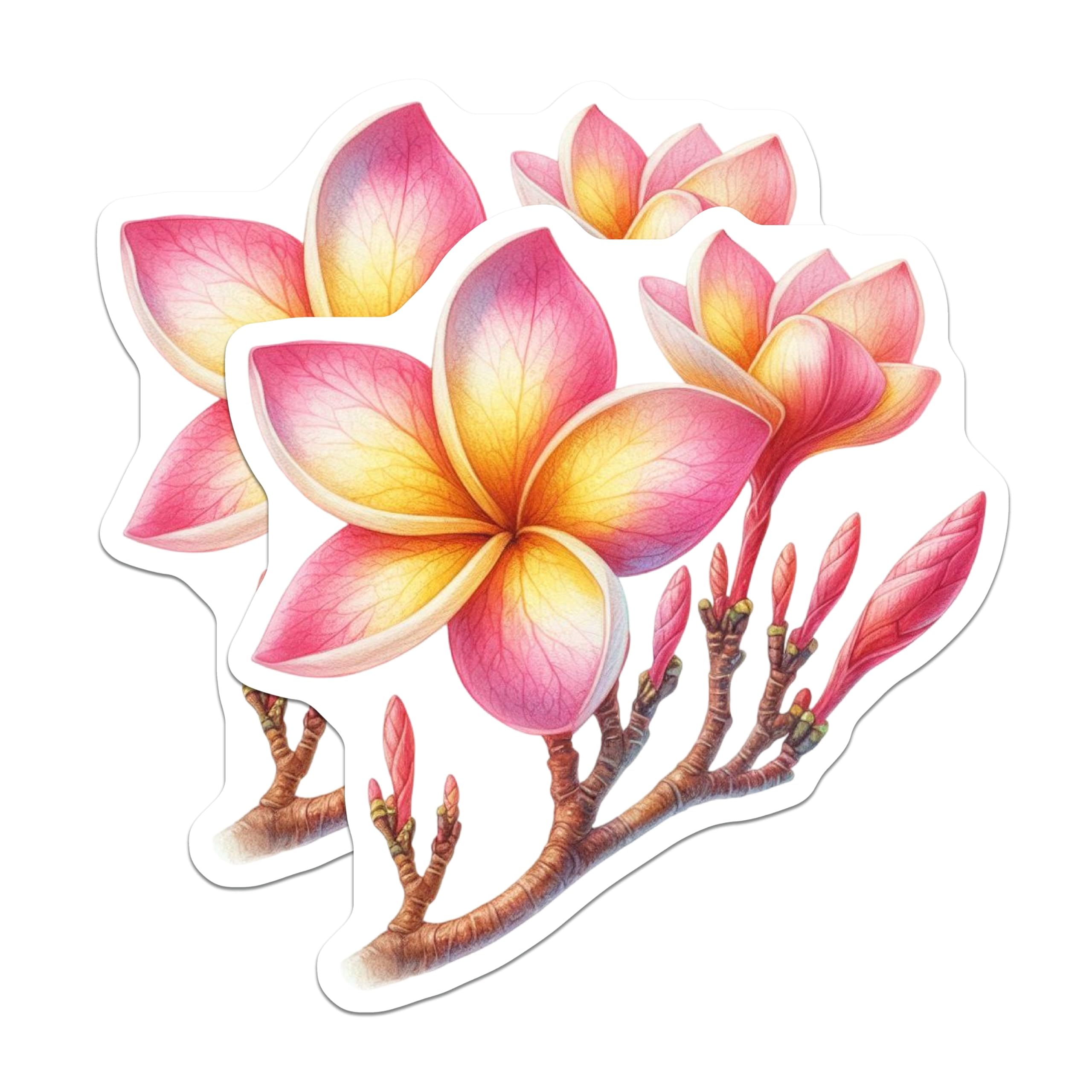 (2 Pack) Plumeria Flowers Magnets - Pink Yellow Tropical Bloom Art - Aesthetic Hawaiian Fridge Magnets - Aloha Flower Decor - 5 Inches On Longest Side - Thick Durable Magnet - Made in USA - MAG22893