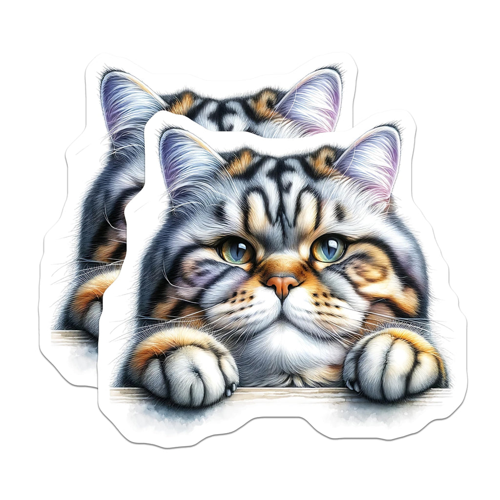 (2 Pack) Cat Magnets - Funny Cat Portrait - Fridge Magnets - 5" On Longest Side - Premium Magnet - for Cars, Refrigerators, Toolboxes, Lockers - Made in USA - MAG15115