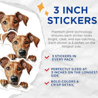 (3 Pack) Dog Breed Decals - Puppy Peek Decal - Cute Pet Laptop - 3 Inches On Longest Side - Easy Peel & Apply - Made in USA - 3MCS8612