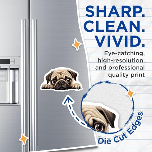 (2 Pack) Adorable Pet Refrigerator Decor Magnet - 5" On Longest Side - Sticks to Smooth Flat Surfaces - Made in USA - MAG10257
