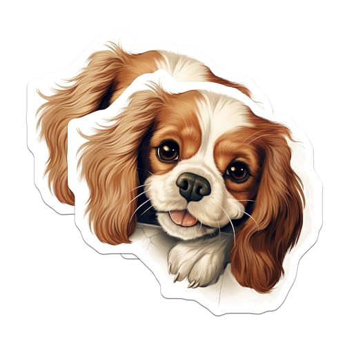 (2 Pack) Animal Lover Fridge Decor Magnet - 5" On Longest Side - Sticks to Smooth Flat Surfaces - Made in USA - MAG9926