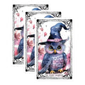 (3 Pack) Owl Witch Decals - Cute Witchy Stickers - Magical Owl Art - 3 Inches On Longest Side - Easy Peel & Apply - Made in USA - 3MCS2370
