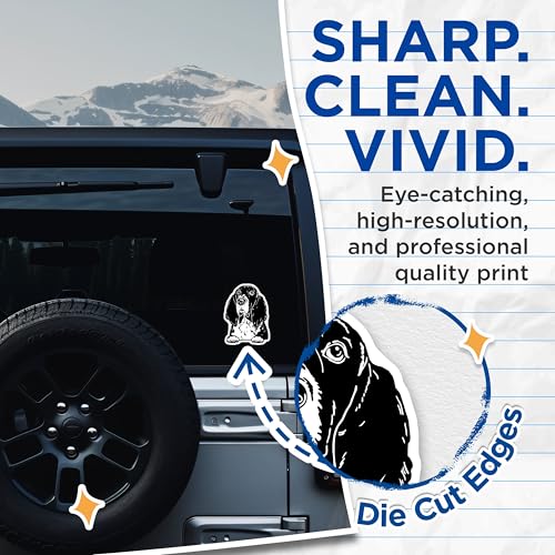 (2 Pack) Basset Hound Dog Stickers - Animal Lover Stickers - Cute Puppy Stickers for Laptops Cars - 5" On Longest Side - Sticks to Smooth Flat Surfaces - Made in USA - BMCS4038