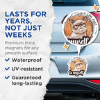 (2 Pack) Grumpy Cat Magnets - Funny Quote Magnets - Humorous Fridge Magnets for Office or Home - 5" On Longest Side - for Cars, Fridges, Toolboxes - Made in USA - MAG4337