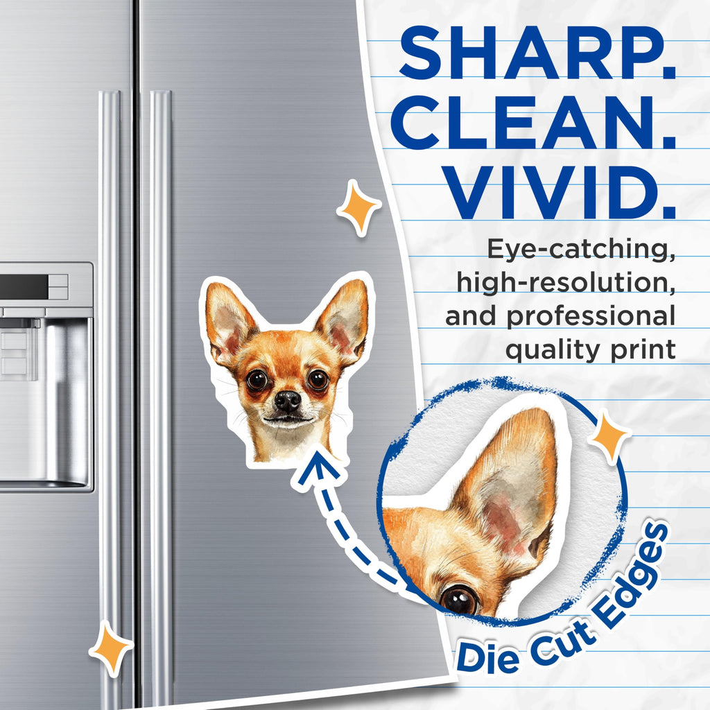 (2 Pack) Chihuahua Magnets - Cute Dog Magnets - Pet Lover Decor - 5" On Longest Side - Premium Magnet - for Cars, Refrigerators, Toolboxes, Lockers - Made in USA - MAG16453