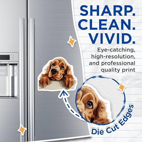 (2 Pack) Dog Lover Kitchen Decor Magnet - Fridge Accessories - Dog Art - 5" On Longest Side - Sticks to Smooth Flat Surfaces - Made in USA - MAG9975