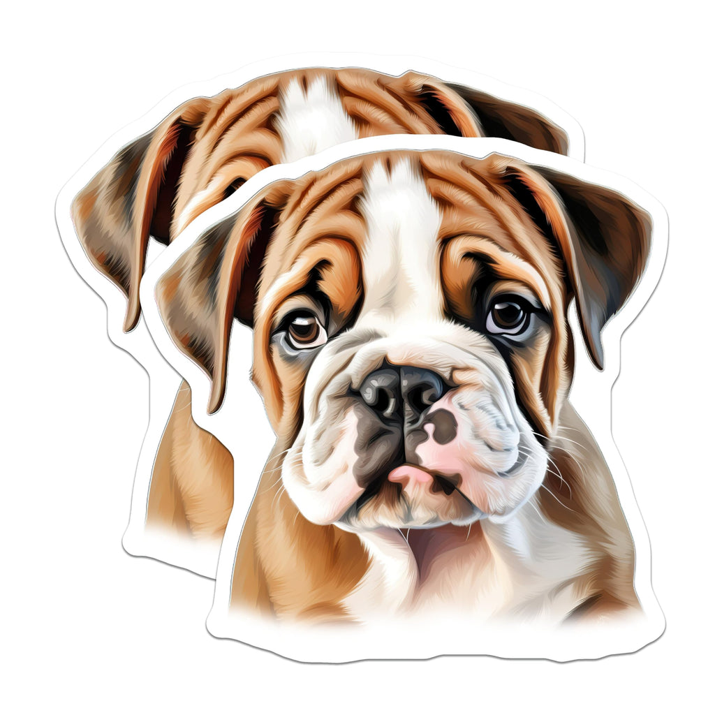 (2 Pack) English Bulldog Puppy Magnets - Cute Dog Decor - Pet Lover Accessory - Animal Owner Collectible - 5 Inches On Longest Side - Thick Durable Magnet - Made in USA - MAG25655