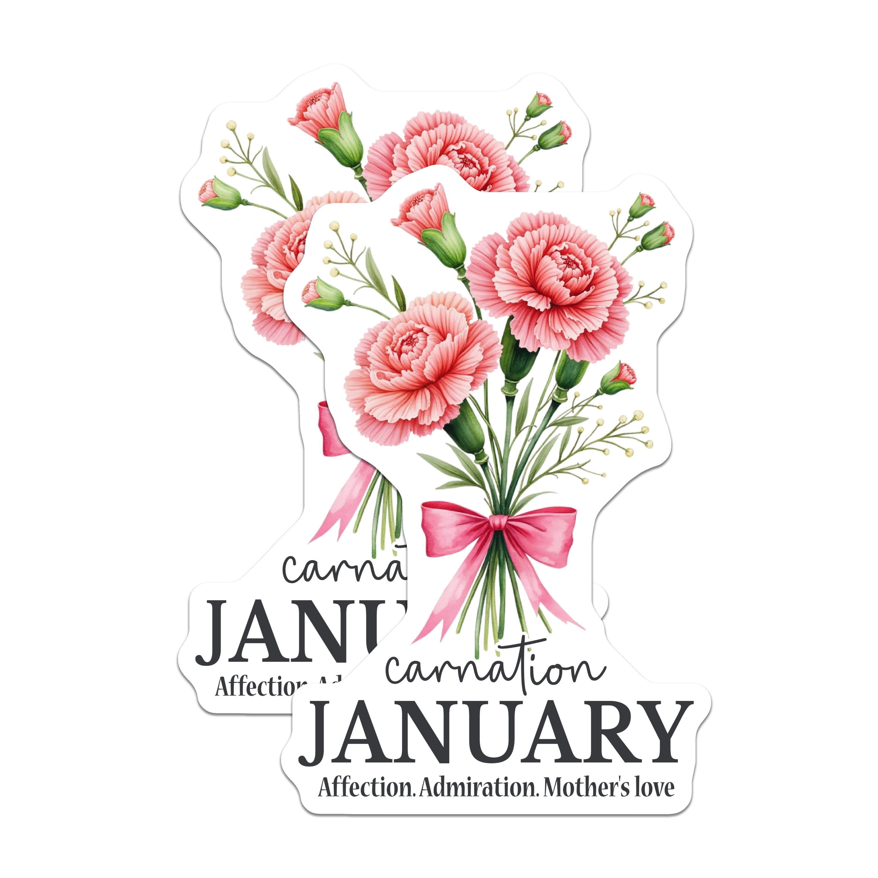 (2 Pack) January Carnation Magnets - Birth Month Flower Decor - Mother's Love Sentiment - 5 Inches On Longest Side - Thick Durable Magnet - Made in USA - MAG38270