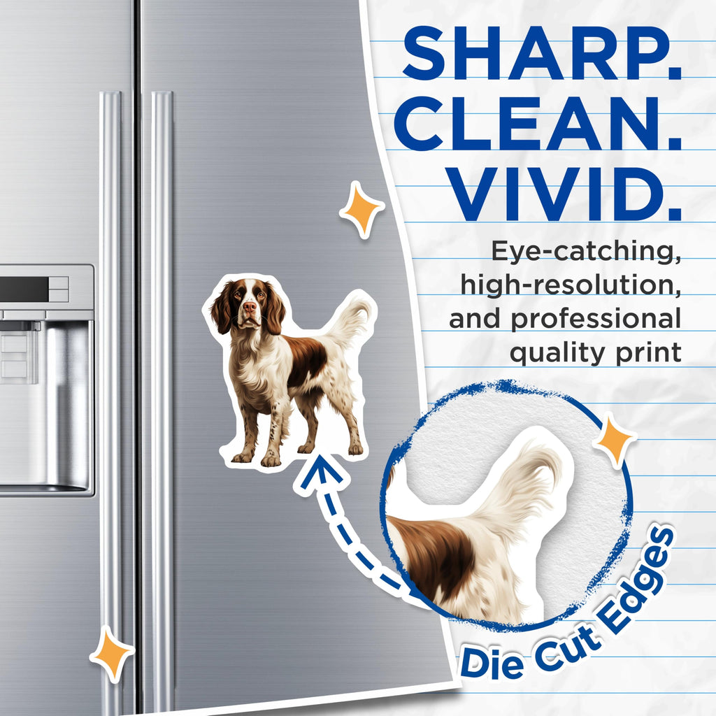 (2 Pack) Springer Spaniel Magnets - Dog Breed Artwork - Pet Owner Accessory - 5 Inches On Longest Side - Thick Durable Magnet - Made in USA - MAG25587