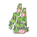 (2 Pack) New Hampshire Magnets - Flamingo Tropical Decor - State Souvenir Keepsake - 5 Inches On Longest Side - Thick Durable Magnet - Made in USA - MAG20912