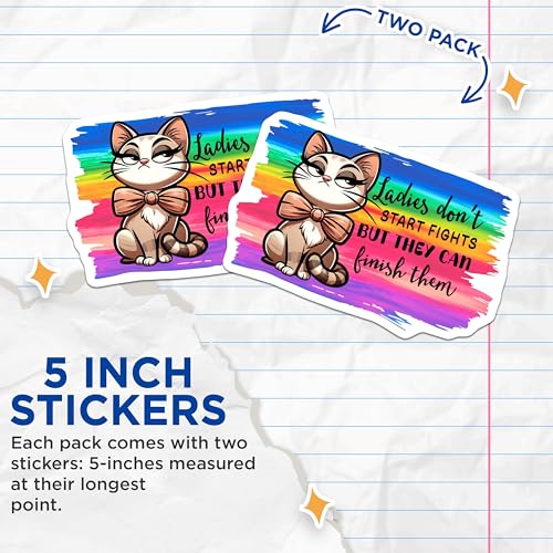 (2 Pack) Cat Attitude Stickers - Funny Cat Meme - Inspirational Quote - 5" On Longest Side - Sticks to Smooth Flat Surfaces - Made in USA - BMCS5663