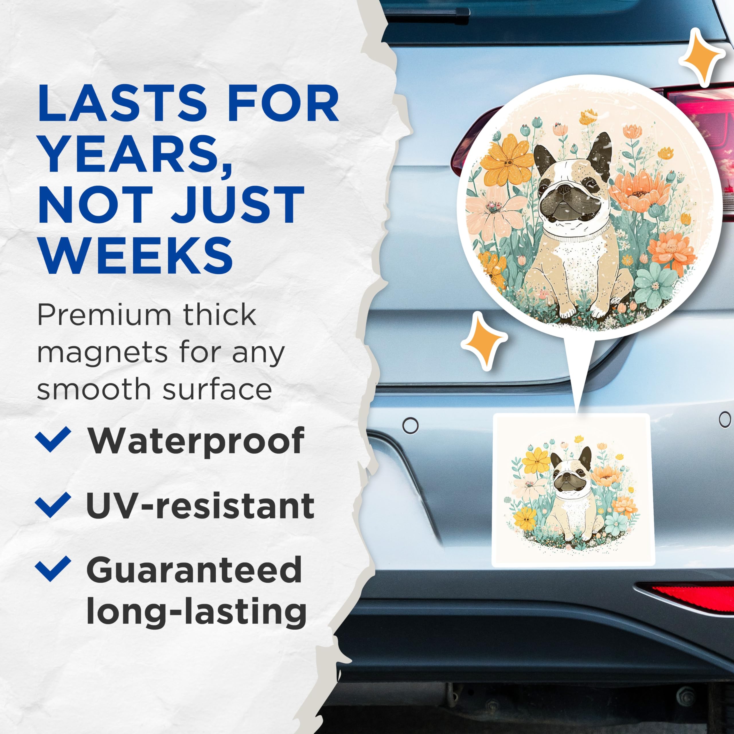 (2 Pack) French Bulldog Magnets - Floral Dog Art - Fridge Magnets Set - Cute Dog Lover - 5" On Longest Side - Premium Magnet - for Cars, Refrigerators, Toolboxes, Lockers - Made in USA - MAG16104