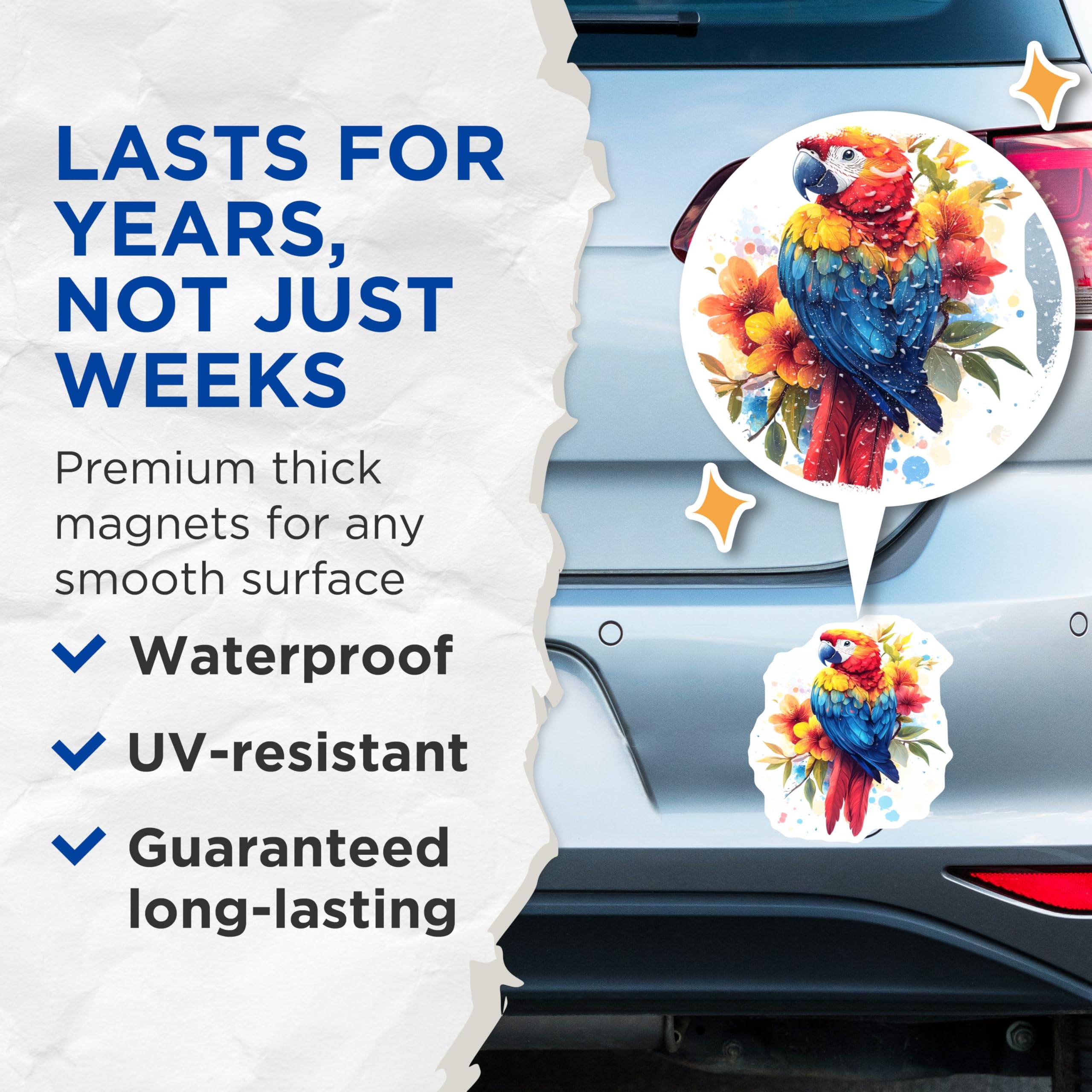 (2 Pack) Tropical Macaw Parrot Magnets - Exotic Bird Art - Vibrant Floral Decor Magnets - 5 Inches On Longest Side - Thick Durable Magnet - Made in USA - MAG30095