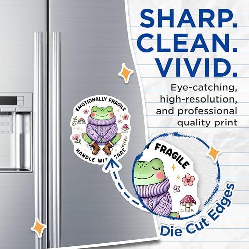 (2 Pack) Emotionally Fragile Handle with Care Magnets - Cute Frog Cartoon - Inspirational Fridge ation - 5" On Longest Side - for Cars, Fridges, Toolboxes - Made in USA - MAG3719