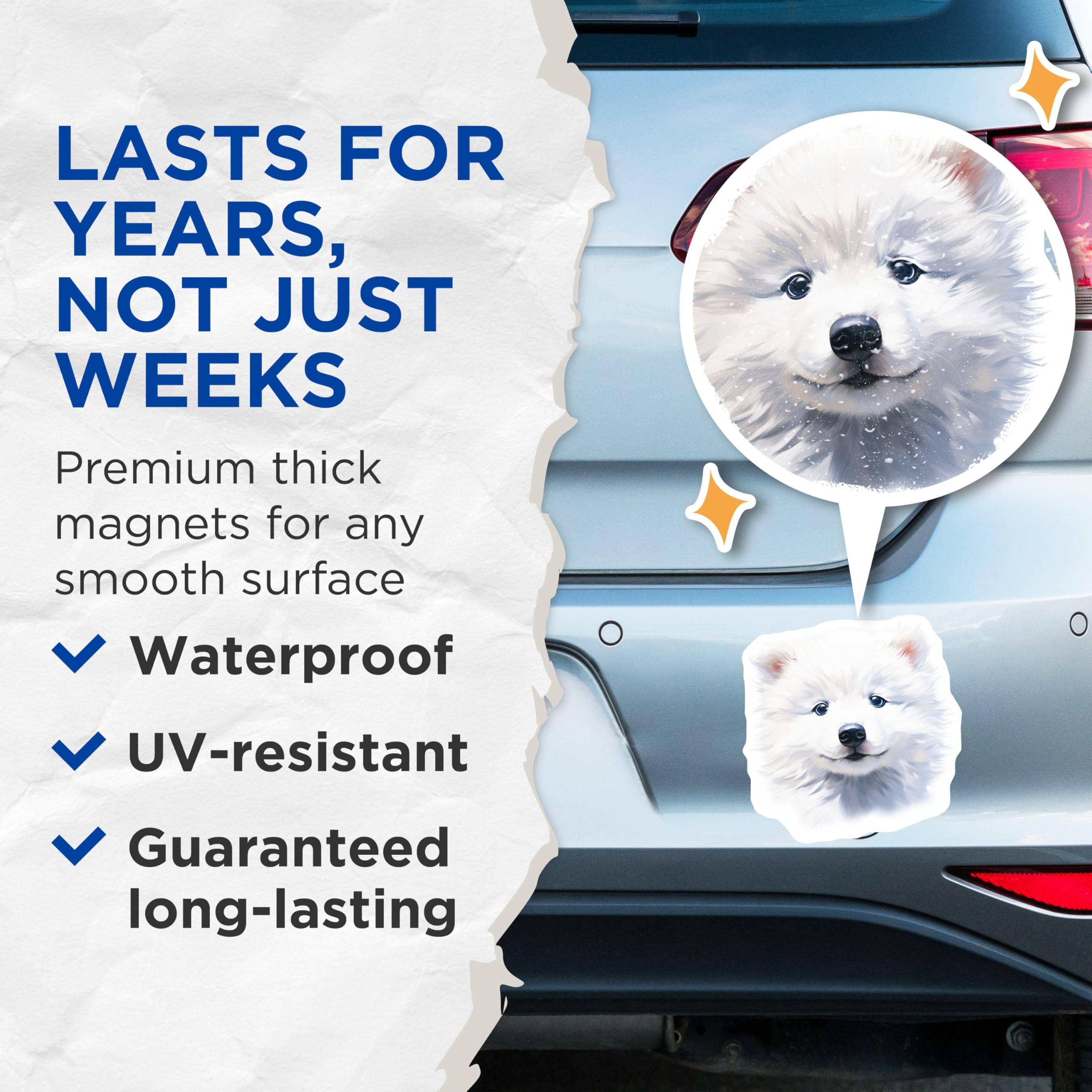 (2 Pack) Fluffy White Puppy Magnets - Cute Samoyed Dog - Pet Lover Decor - 5 Inches On Longest Side - Thick Durable Magnet - Made in USA - MAG28262