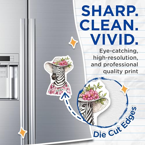 (2 Pack) Cute Animal Magnet - Fun Refrigerator Decor - Unique Fridge Art - 5" On Longest Side - Sticks to Smooth Flat Surfaces - Made in USA - MAG9498