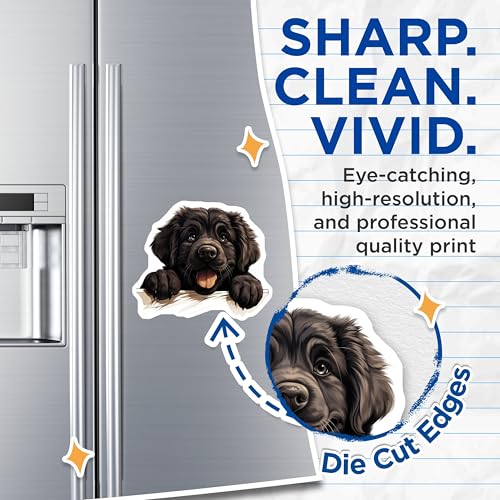 (2 Pack) Black Dog Art Magnet - Animal Refrigerator Decor - 5" On Longest Side - Sticks to Smooth Flat Surfaces - Made in USA - MAG10233