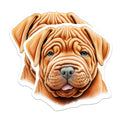 (2 Pack) Shar Pei Puppy Magnets - Wrinkly Dog Illustration - Cute Dog Lover Fridge Magnets - Pet Owner - Animal Art - 5 Inches On Longest Side - Thick Durable Magnet - Made in USA - MAG26978