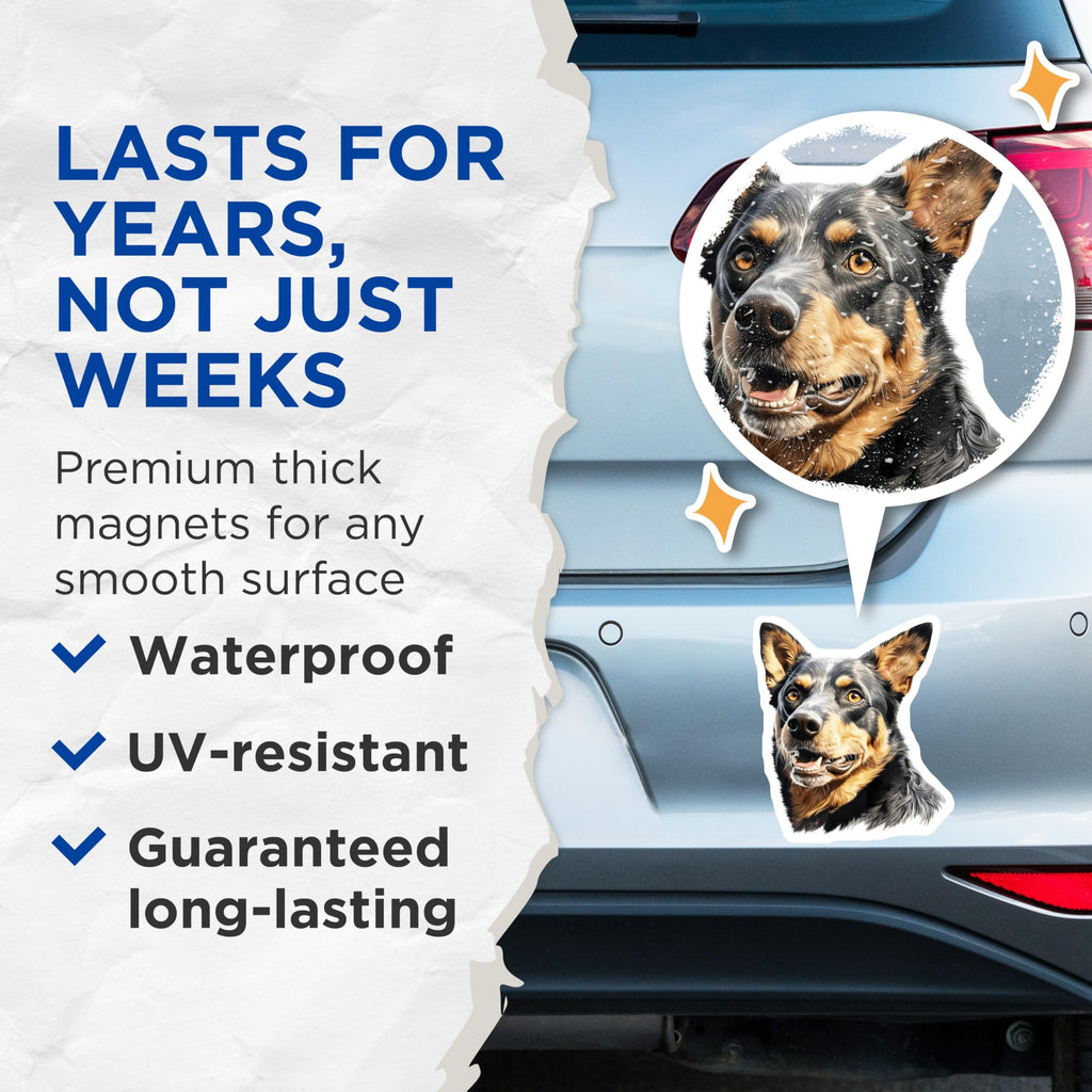 (2 Pack) Australian Cattle Dog Magnets - Blue Heeler Dog Art - Pet Lover Decor Accessory - 5 Inches On Longest Side - Thick Durable Magnet - Made in USA - MAG24094