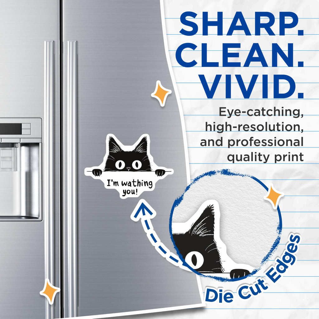 (2 Pack) Funny Cat Magnets - I'm Watching You - Cute Animal - Cat Meme - Kitchen Decor Magnets - 5" On Longest Side - for Cars, Refrigerators, Toolboxes, Lockers - Made in USA BMCS3456