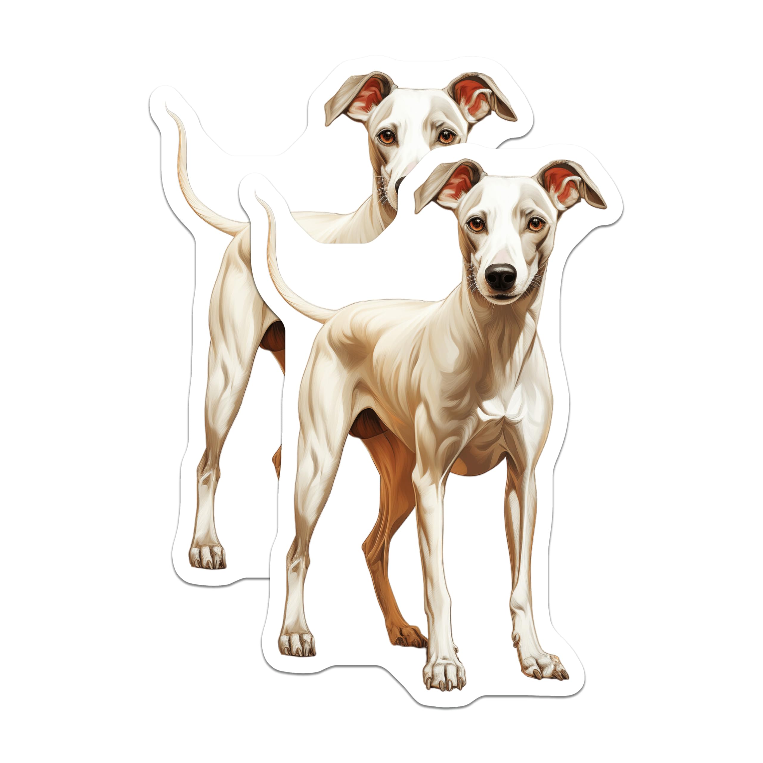 (2 Pack) Italian Greyhound Magnets - Whippet Dog Art - Sighthound Pet Decor - Animal Lover Fridge Accent - 5 Inches On Longest Side - Thick Durable Magnet - Made in USA - MAG27322